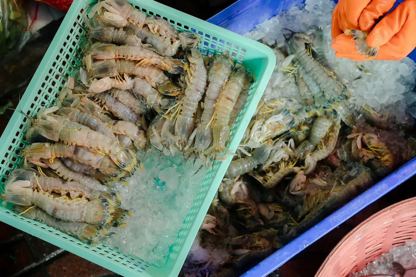 Fresh prawns and shellfish on ice at a seafood market stall